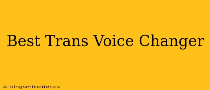 Best Trans Voice Changer