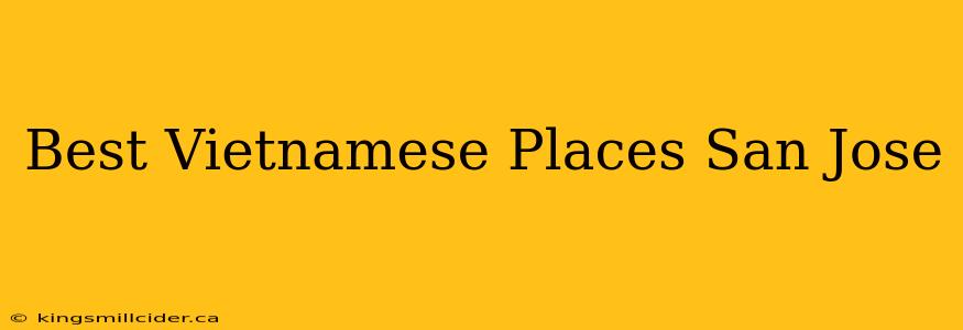 Best Vietnamese Places San Jose