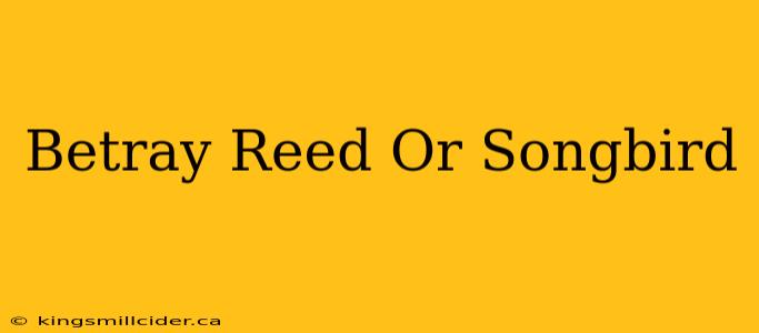 Betray Reed Or Songbird