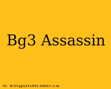 Bg3 Assassin