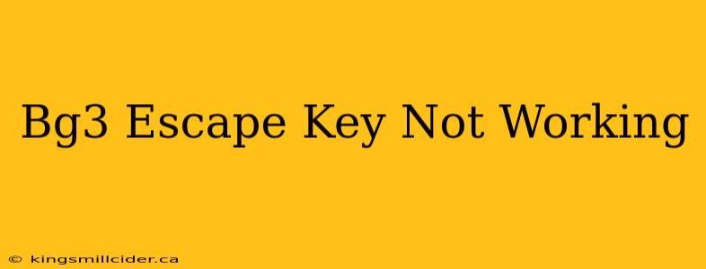 Bg3 Escape Key Not Working