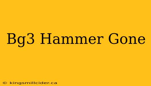 Bg3 Hammer Gone