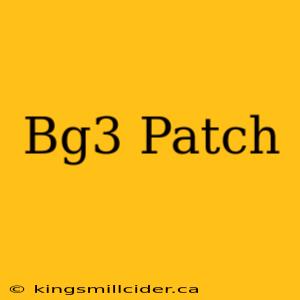 Bg3 Patch