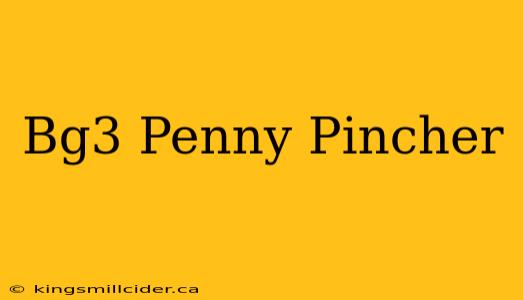 Bg3 Penny Pincher