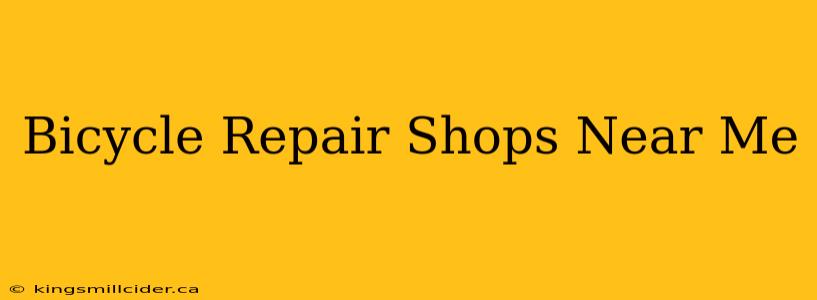 Bicycle Repair Shops Near Me