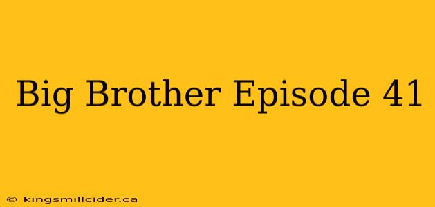 Big Brother Episode 41