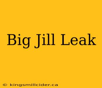 Big Jill Leak