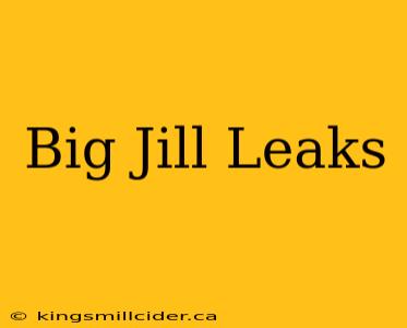 Big Jill Leaks