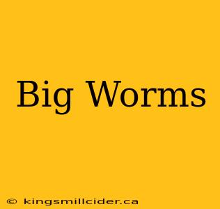 Big Worms