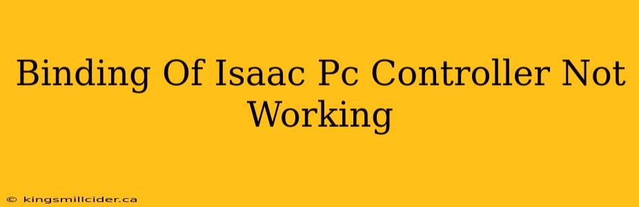 Binding Of Isaac Pc Controller Not Working