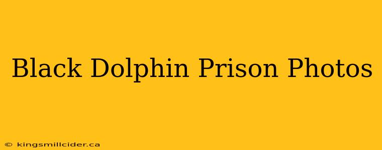 Black Dolphin Prison Photos