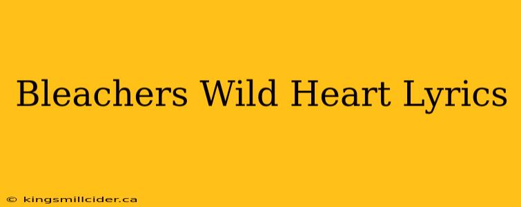 Bleachers Wild Heart Lyrics