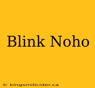 Blink Noho