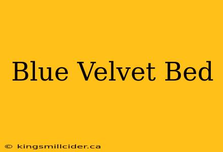 Blue Velvet Bed