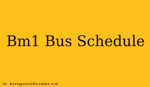 Bm1 Bus Schedule