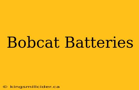 Bobcat Batteries