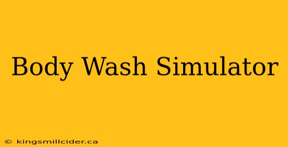 Body Wash Simulator