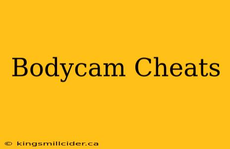 Bodycam Cheats