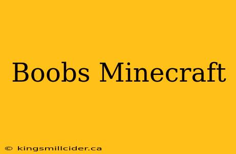 Boobs Minecraft