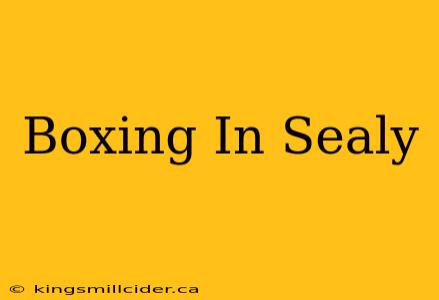 Boxing In Sealy