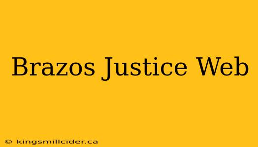 Brazos Justice Web