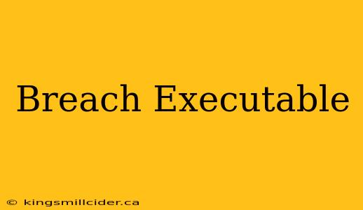 Breach Executable