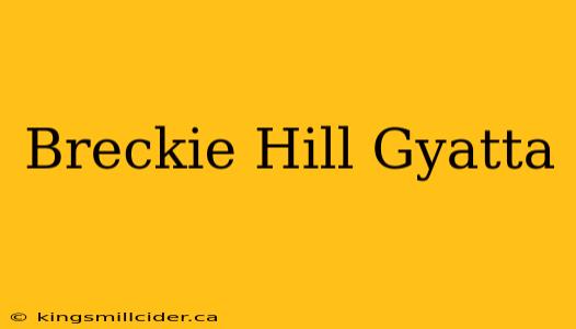 Breckie Hill Gyatta