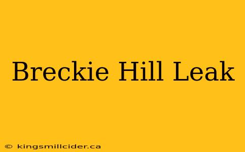 Breckie Hill Leak