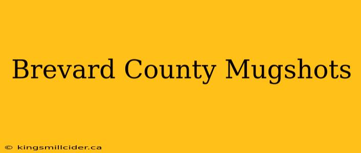 Brevard County Mugshots