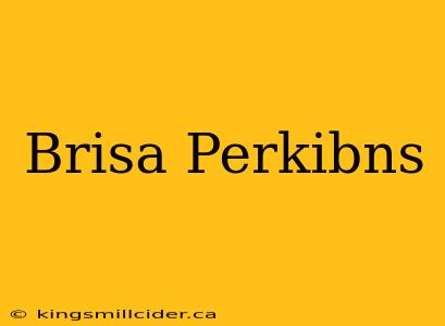 Brisa Perkibns