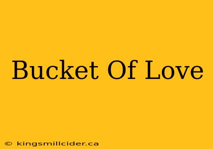 Bucket Of Love