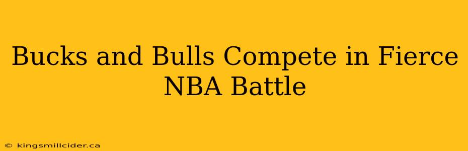 Bucks and Bulls Compete in Fierce NBA Battle