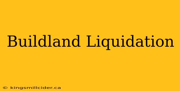 Buildland Liquidation