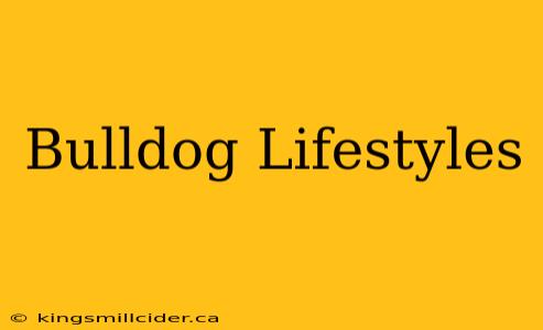 Bulldog Lifestyles