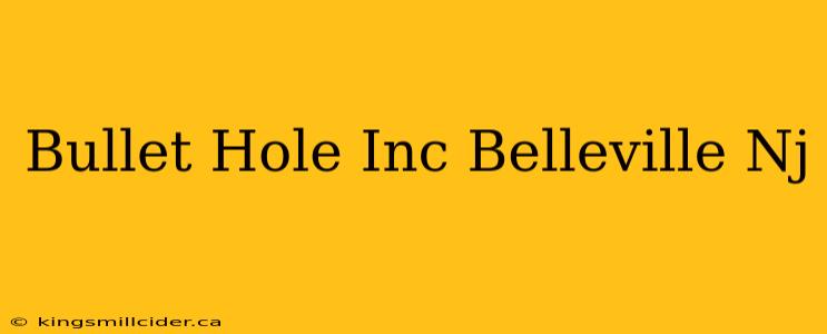 Bullet Hole Inc Belleville Nj