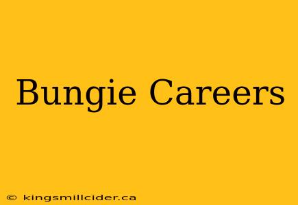 Bungie Careers