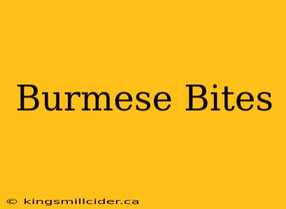 Burmese Bites