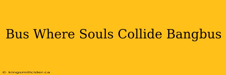 Bus Where Souls Collide Bangbus