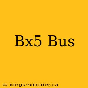 Bx5 Bus