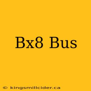 Bx8 Bus