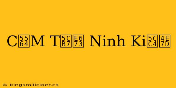 C啤M T岷 Ninh Ki峄乽