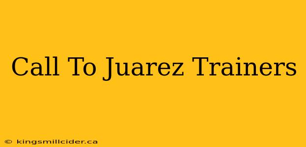 Call To Juarez Trainers