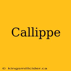 Callippe