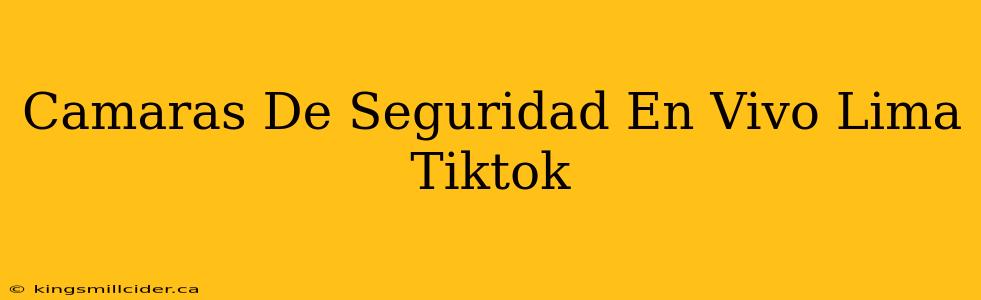 Camaras De Seguridad En Vivo Lima Tiktok