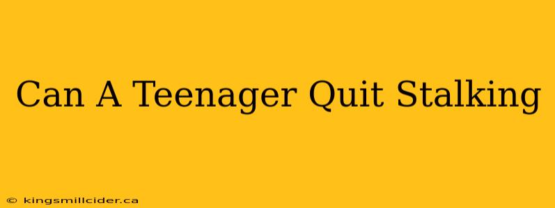 Can A Teenager Quit Stalking