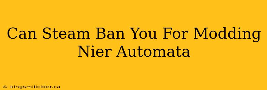 Can Steam Ban You For Modding Nier Automata