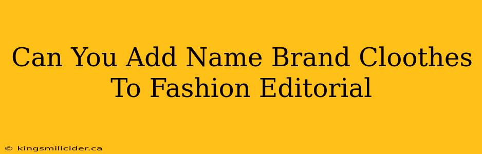 Can You Add Name Brand Cloothes To Fashion Editorial