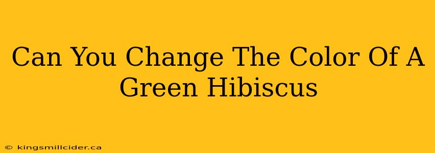 Can You Change The Color Of A Green Hibiscus