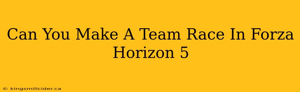 Can You Make A Team Race In Forza Horizon 5