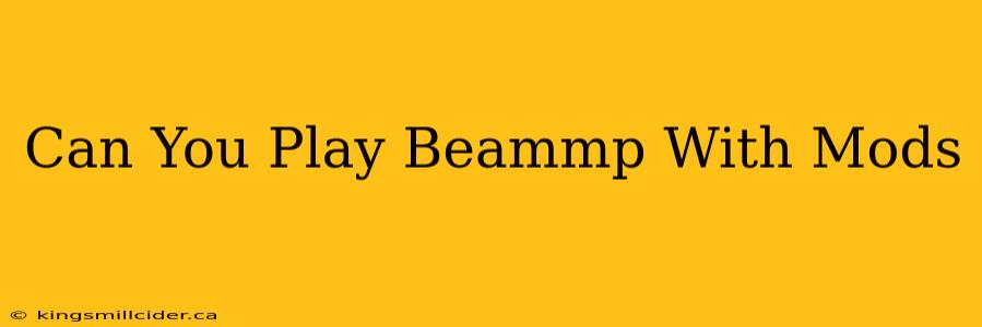 Can You Play Beammp With Mods